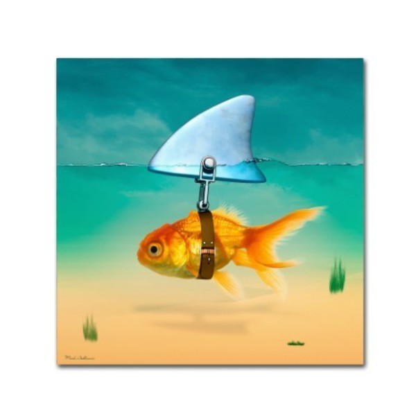 Trademark Fine Art Mark Ashkenazi 'Gold Fish' Canvas Art, 18x18 ALI7879-C1818GG